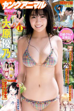 最美的乡村